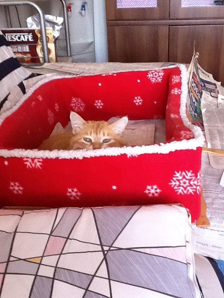 Difficult day today. Took Emily to her new home. Mandy, Jane's ex-coworker has agreed to adopt Emily and give her a good home. Goodbye, sweet Emily. We'll always love you!