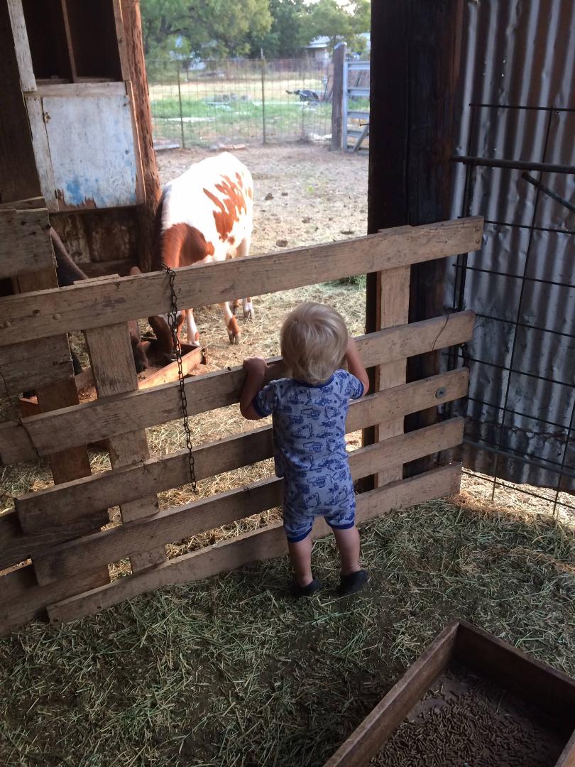 Helping grandpa feed at the farm!