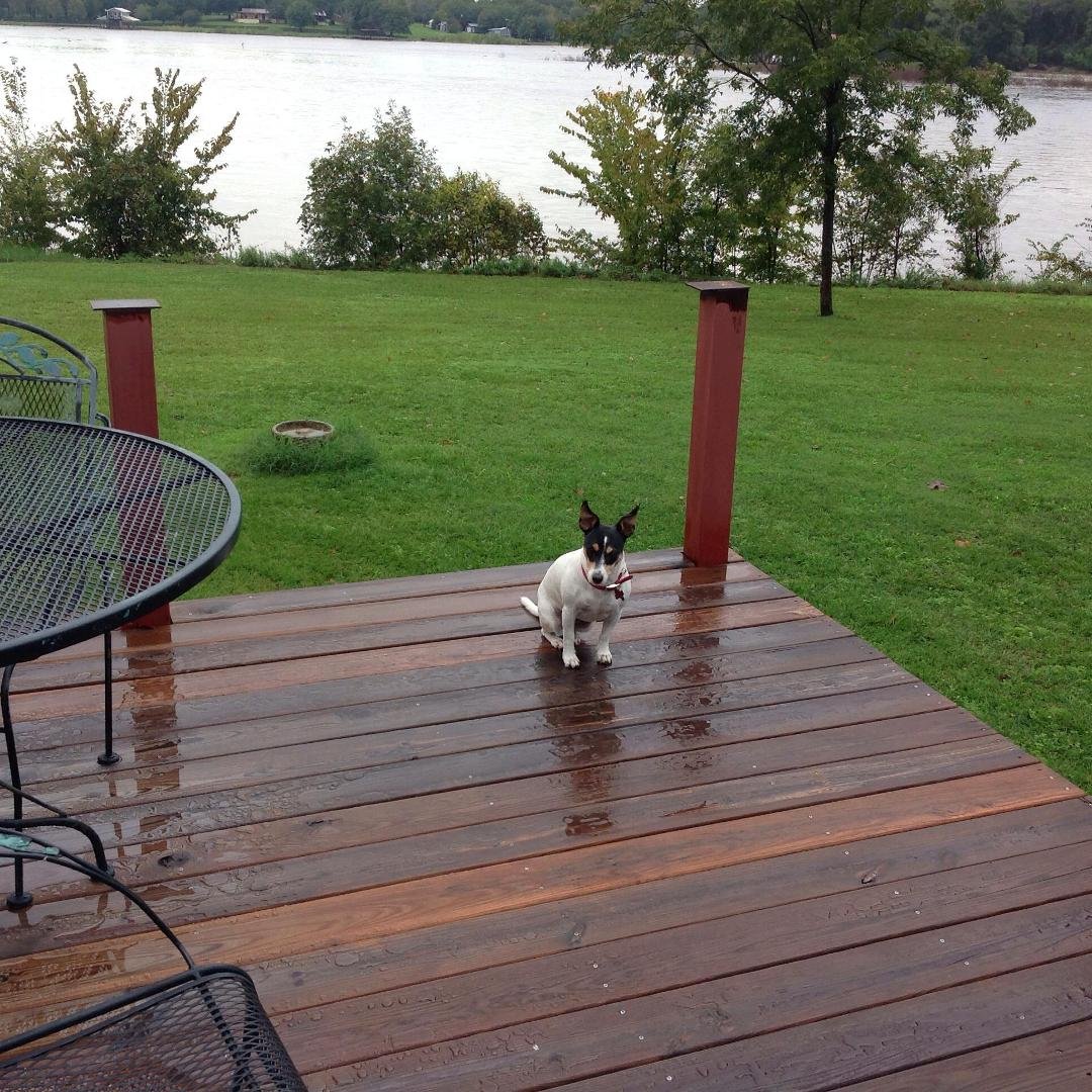 Can we go fishing?