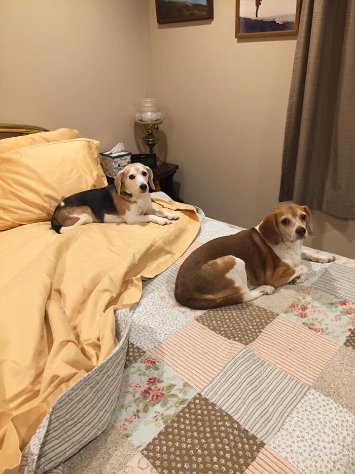 Waiting for daddy to come to bed
