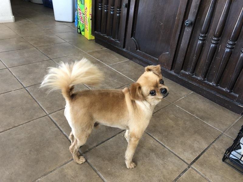 Markquon got his hair cut today! 🥰
