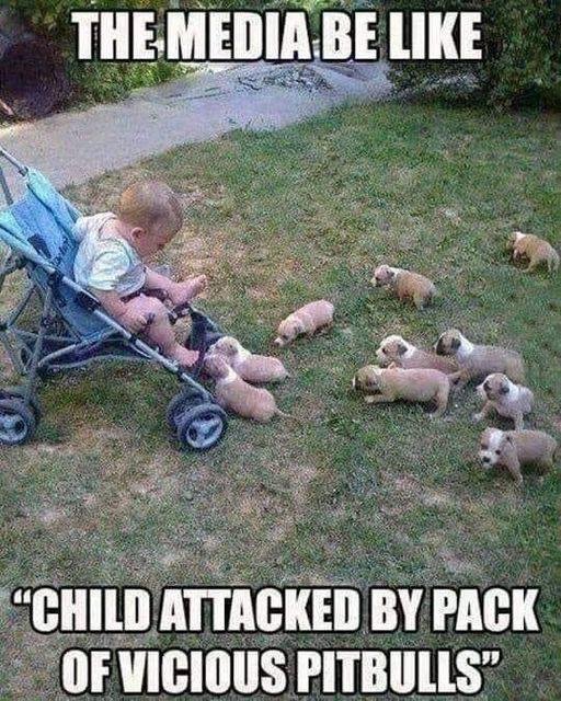 Butch Gross' album, Timeline photos