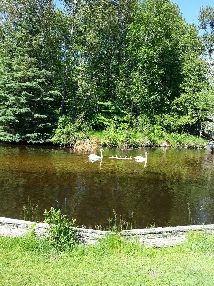 On the river in the back yard.