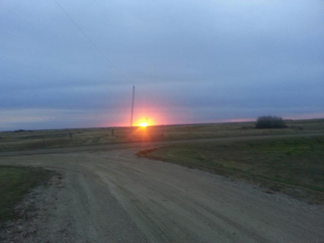 this morning on my way out to the city.