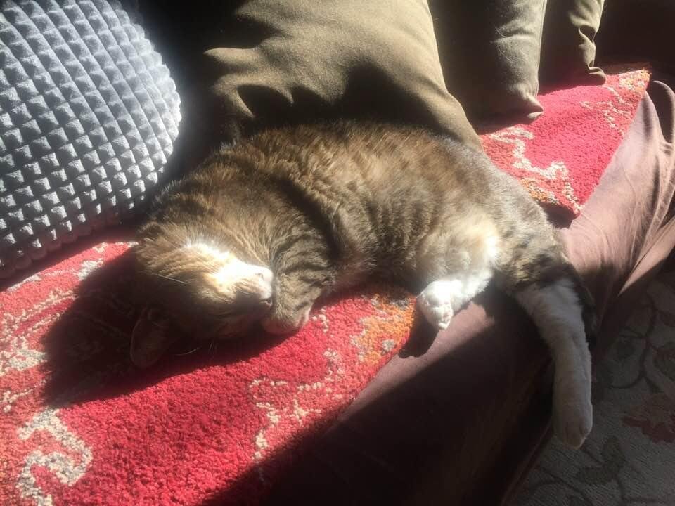 Boots hanging ten on a sun spot