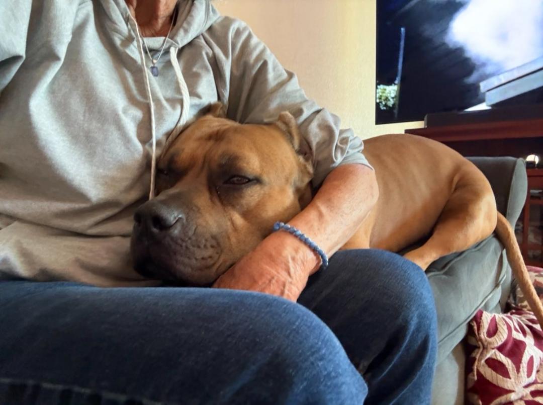 You know what the say about Pitties and personal space…LOL