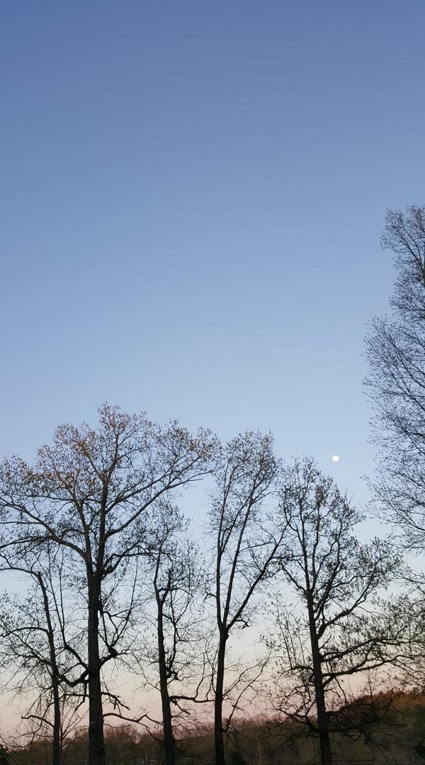 The moon coming up