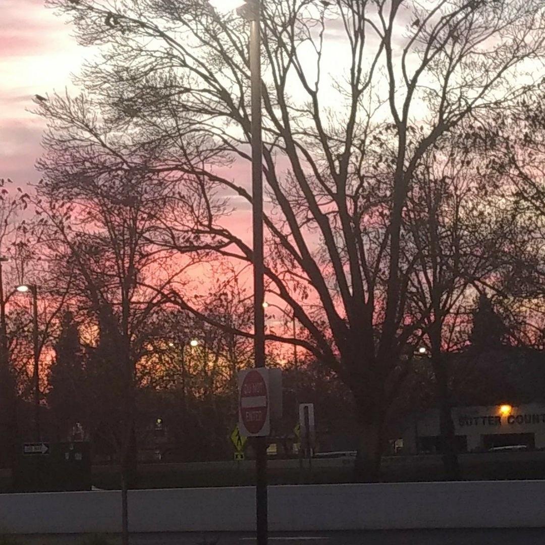 Another sunset in Northern California. If you look real close you can see black birds in the trees. Hundreds of them come home every night.