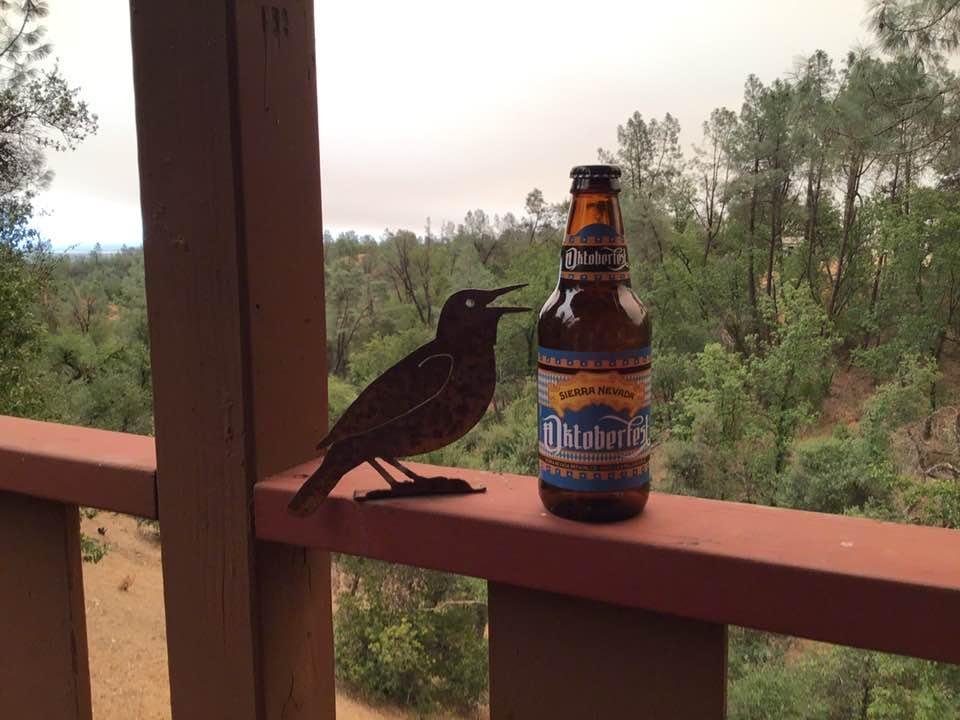 Is it October yet?  Noon, day is evening, smokey skies from the Bear Fire. The president said we could have a vaccine by a special day, I assume he means Halloween.