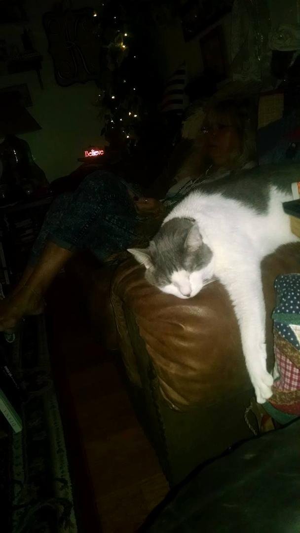 Cinderella chillin' next to her mom!