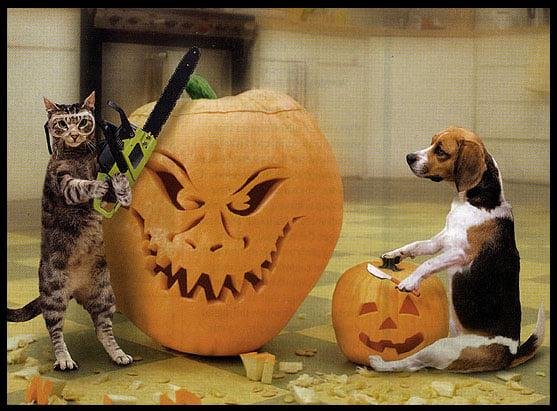 Is your pumpkin carved yet?