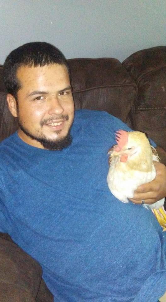 Whos ready for a rooster fight lol