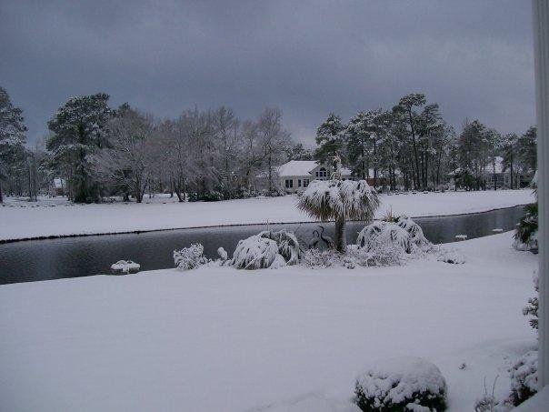 Karen Karen Deegan's album, FEBRUARY 13TH IN NORTH CAROLINA