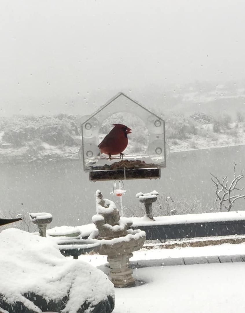 Lake Whitney Jan 10, 2021