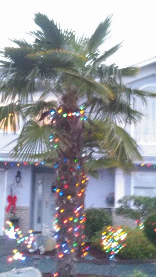 Hey Merry Christmas All Cheer's