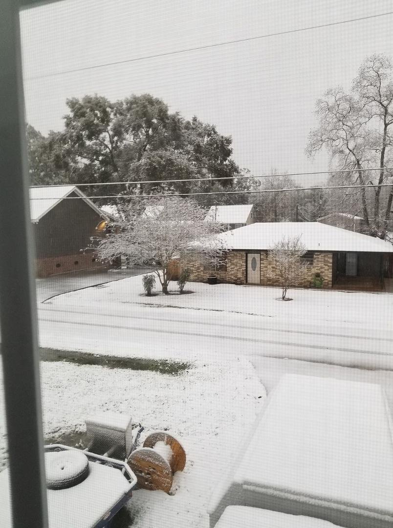 Unusual for South Louisiana