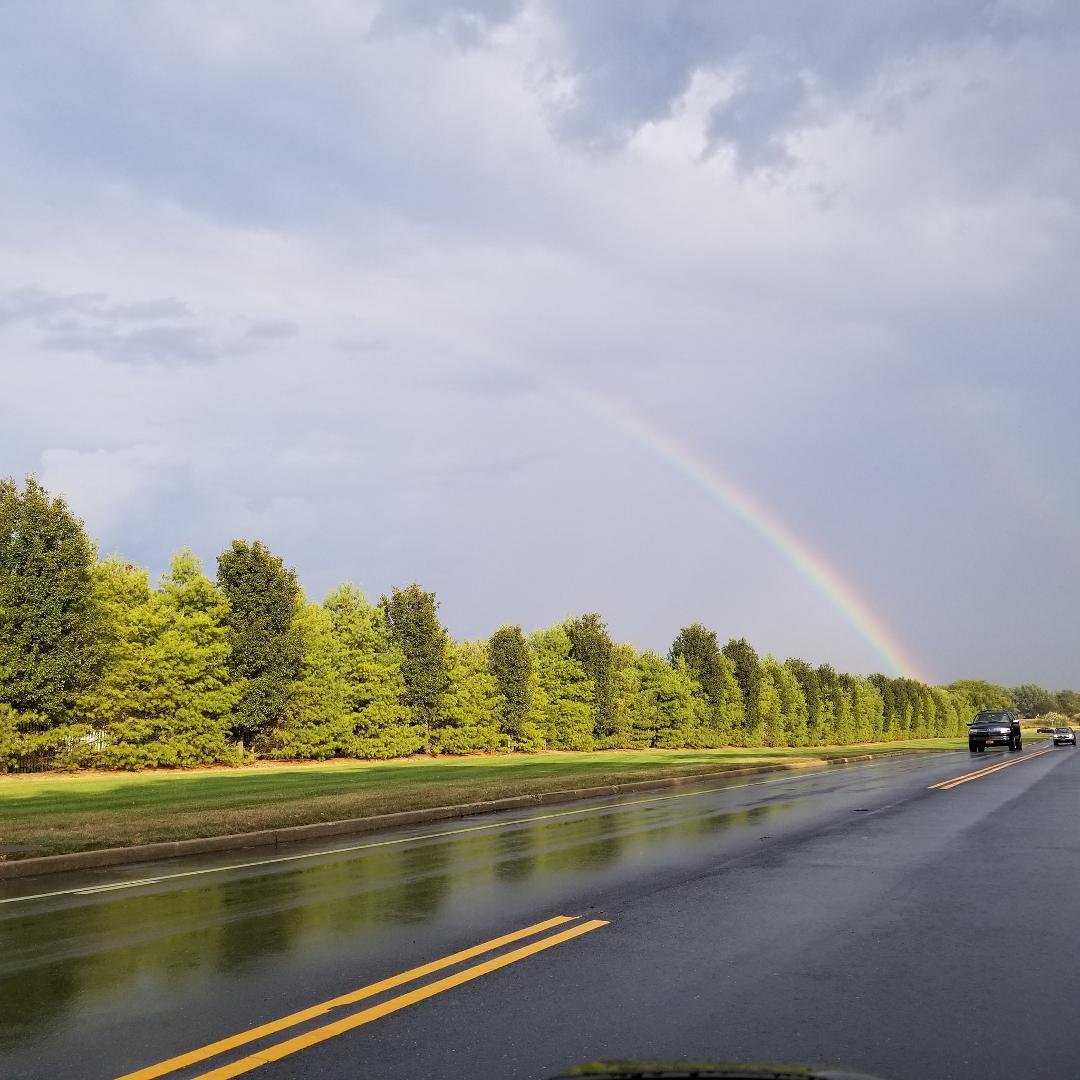 Chasing Rainbows all the way home! 🌦🌈💰