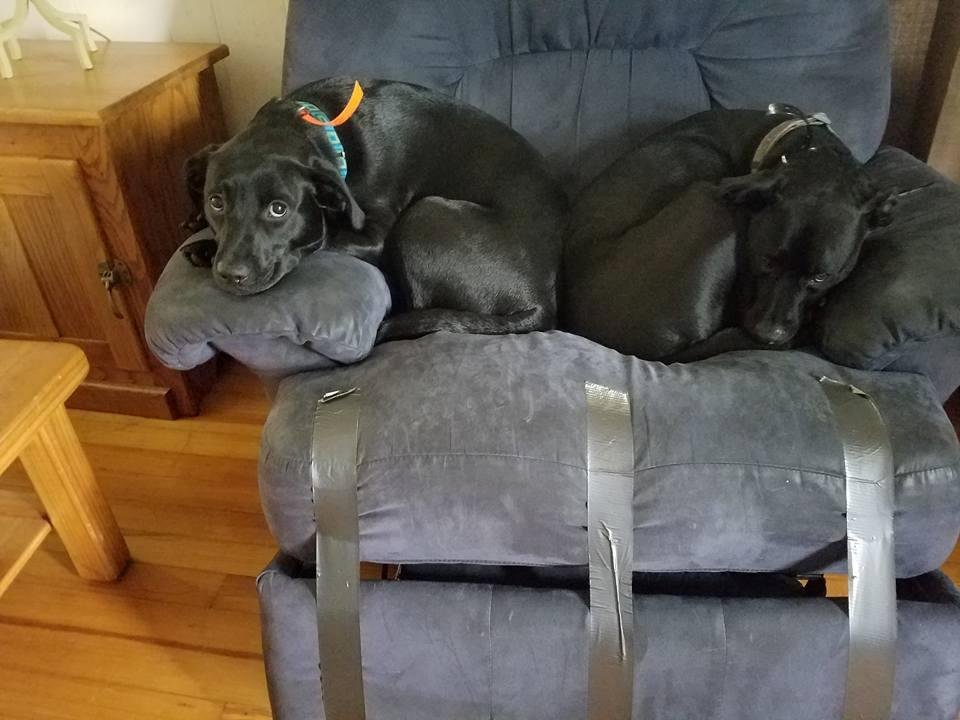 Brother and sister buddies
