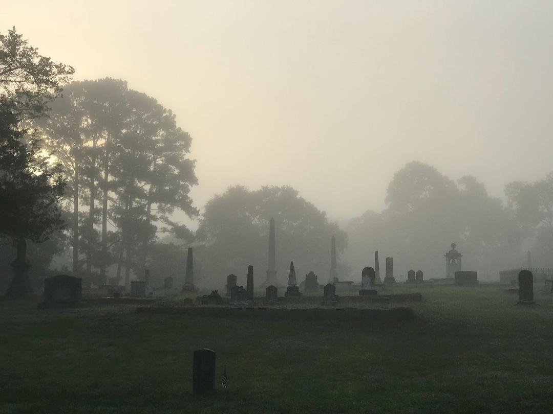 My morning walk takes me through our local cemetery. This morning I got there before the early fog had burned off.