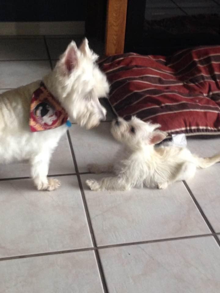 Nancy Foote's album, Timeline Photos
