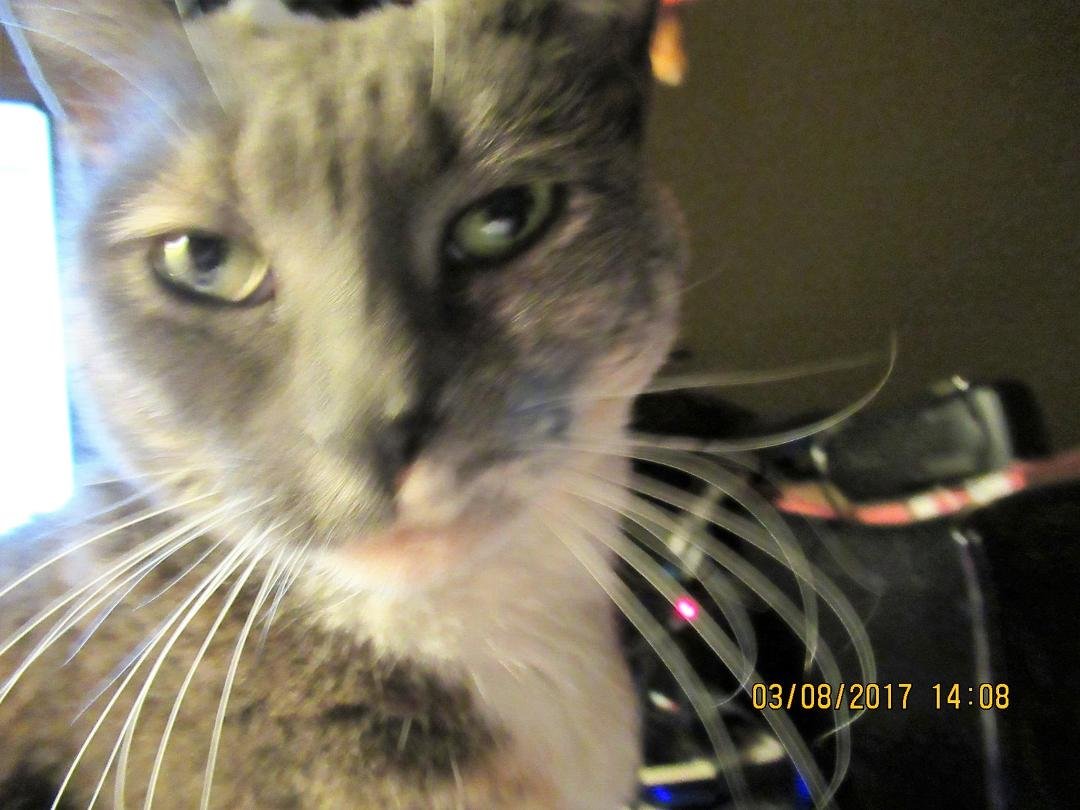 missy wants me to get off of the computer
