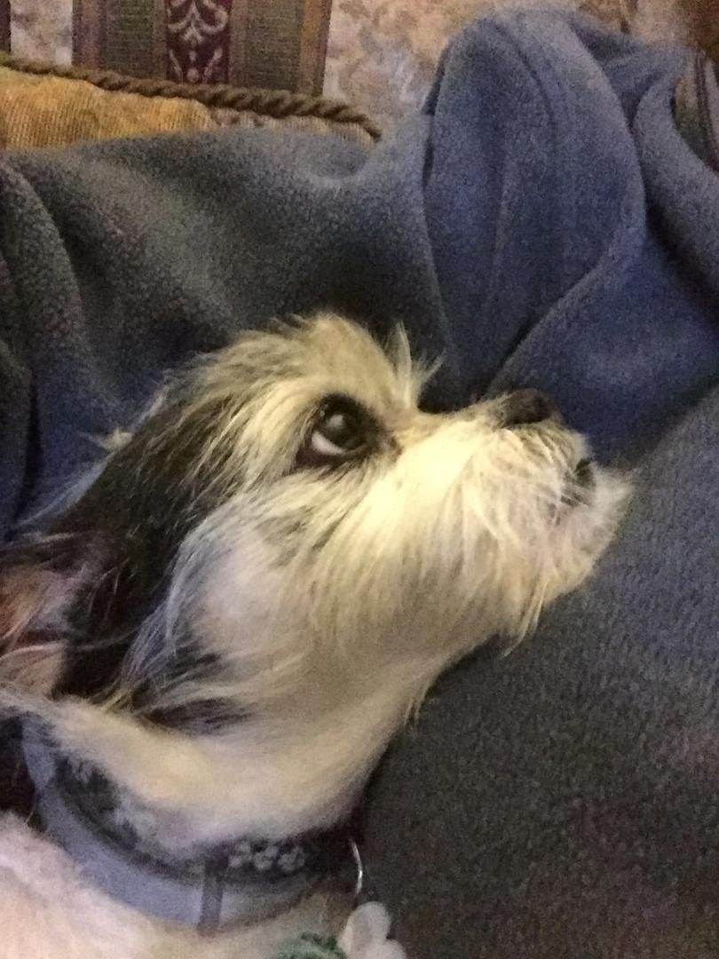 I think she likes me😊