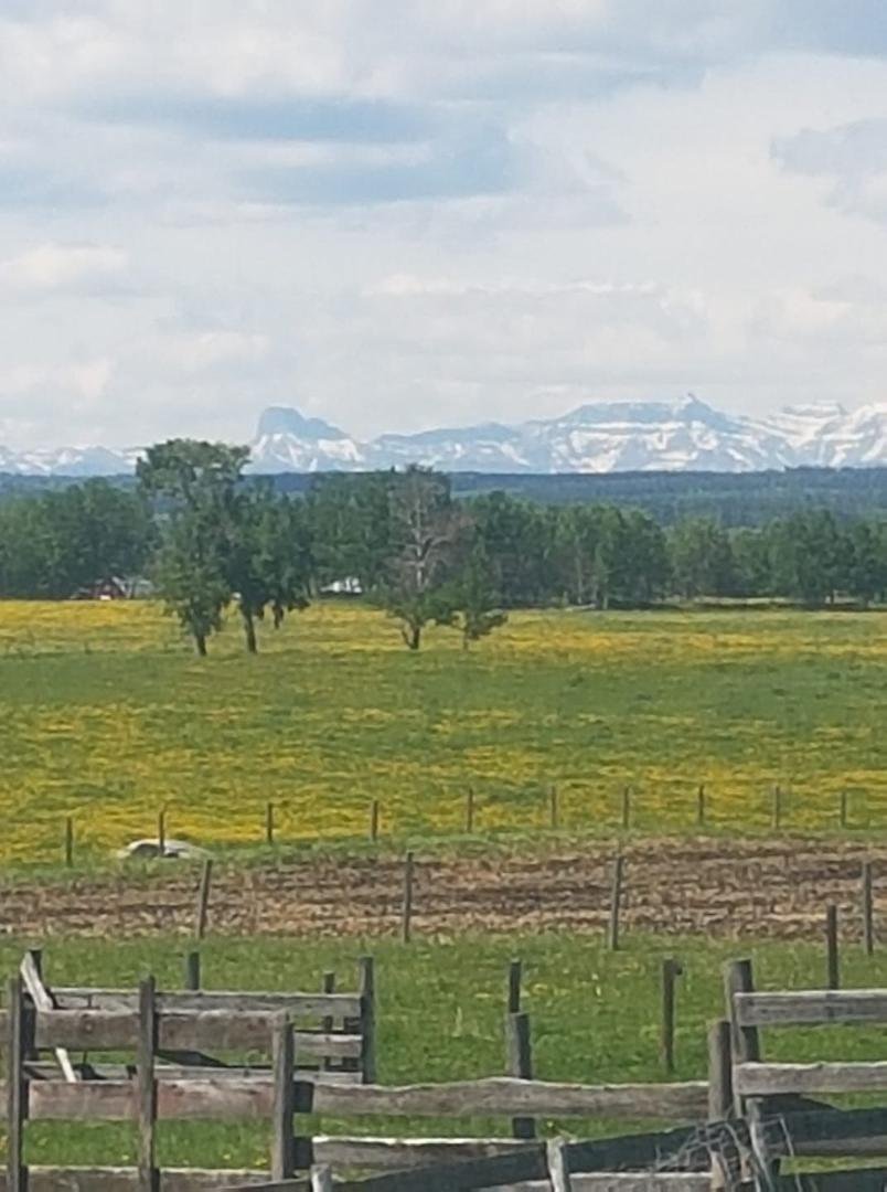 The view at work today.