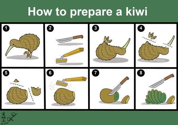 Someone at work mentioned there were too many Kiwis in an internal email group, referring to employees from New Zealand.
I responded with "The bird or the fruit?"
I got this in response