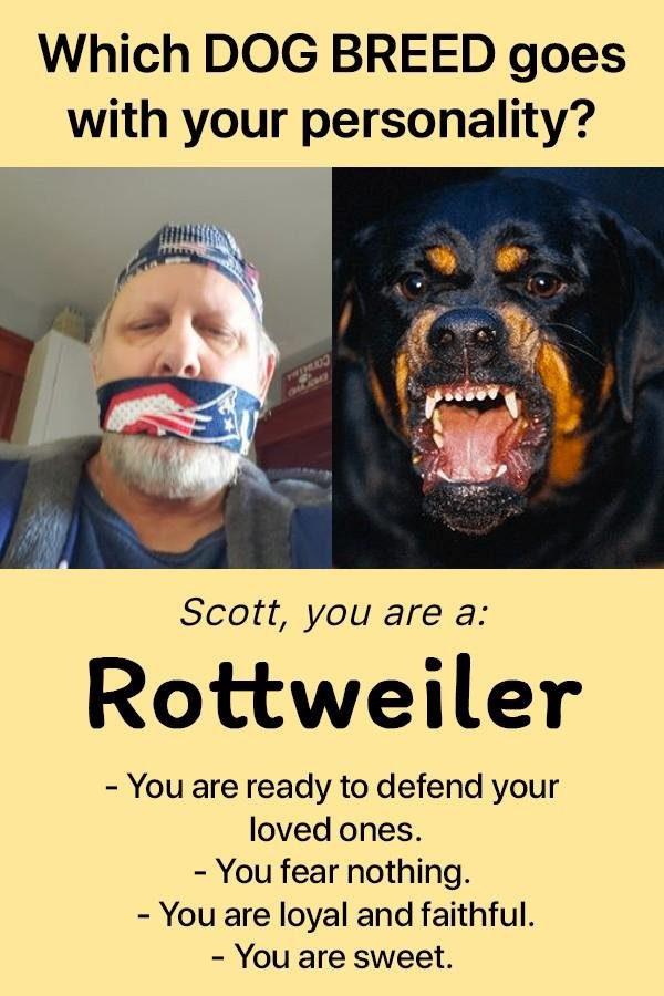 Scott Leon's album, Timeline Photos