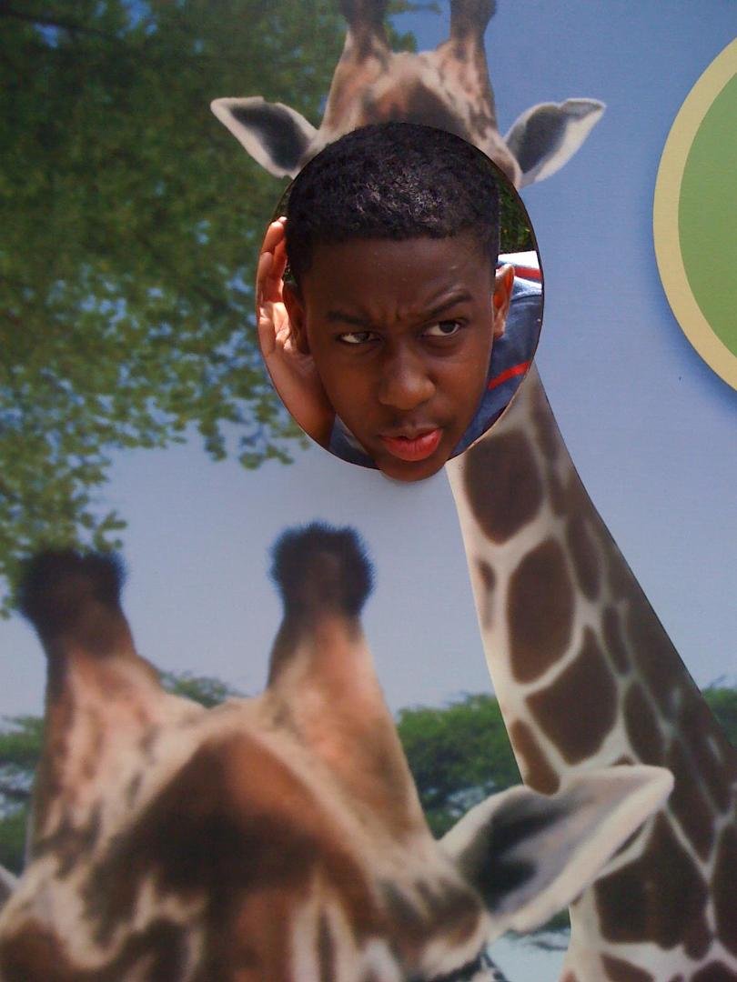 MY BOY TAYLOR