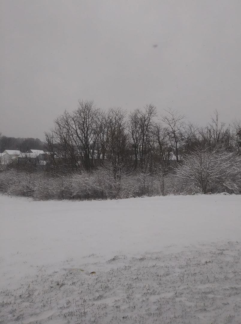 Welcome to the first day of spring 😒