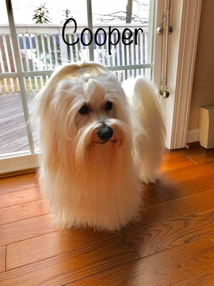 Happy 7 th Birthday Cooper