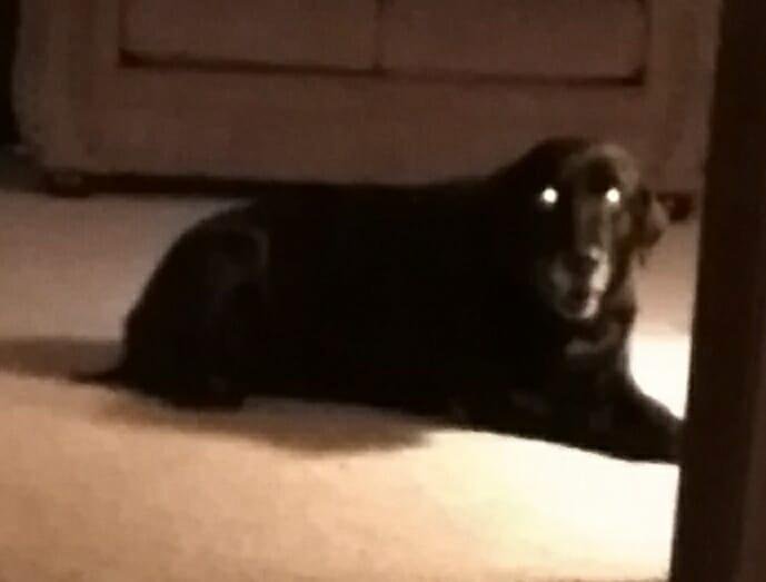 Pete needs an exorcism.