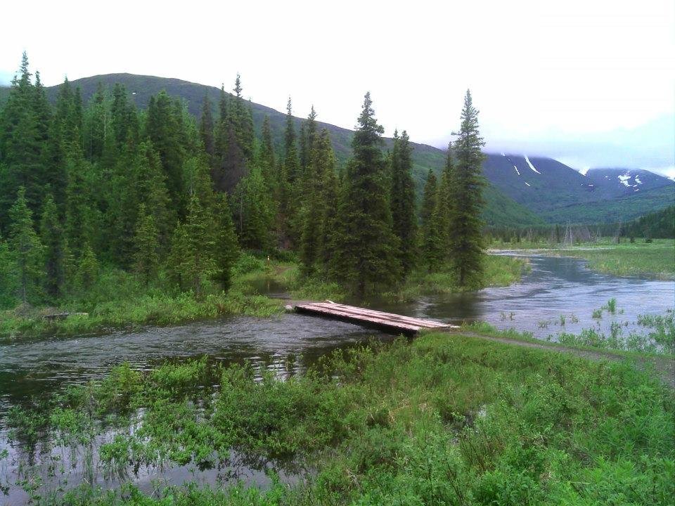Rick Wicks' album, Alaska summer 2012