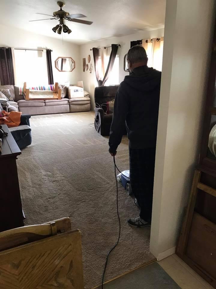 My shampooer at work. My hero no matter how sick he is.