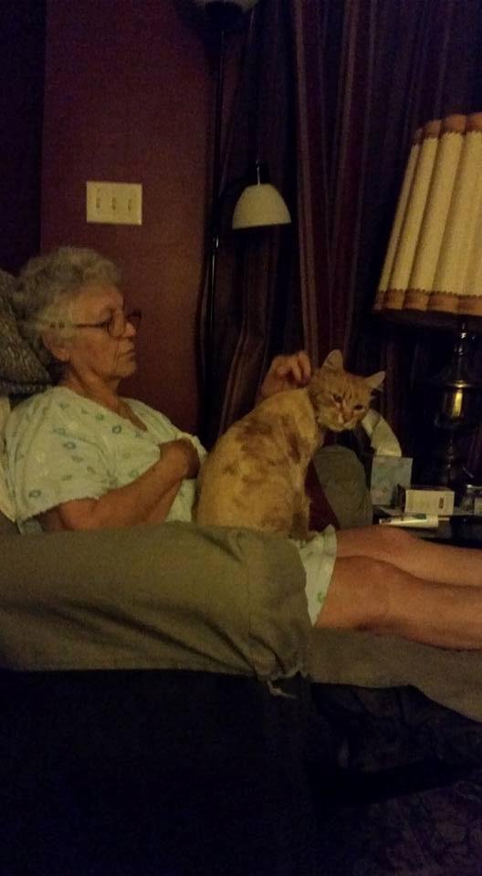 Opie loves mom's gentle touch. <3