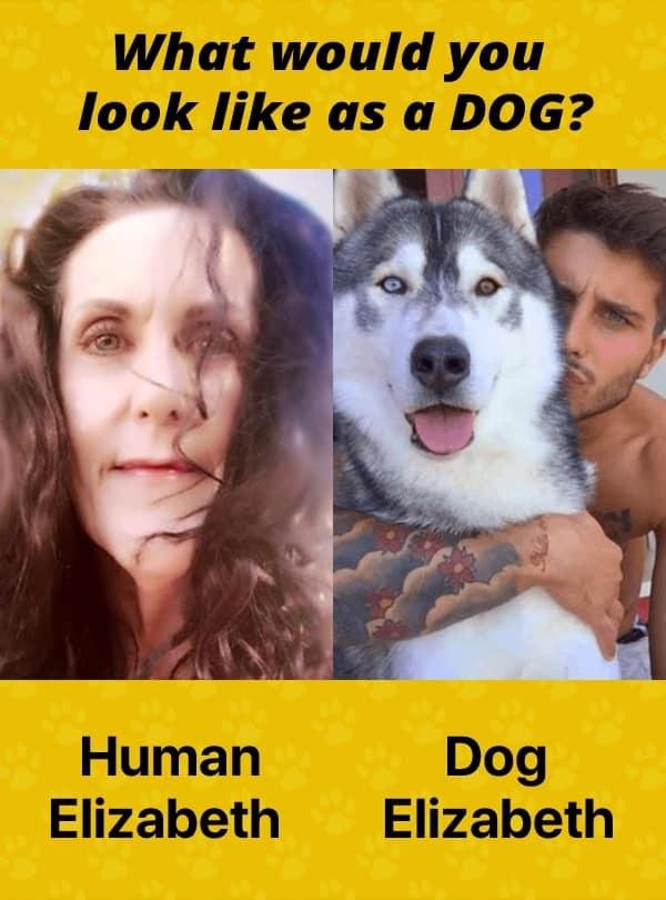 Oh, I might like this version better.....this one comes with a very nice human! 😂