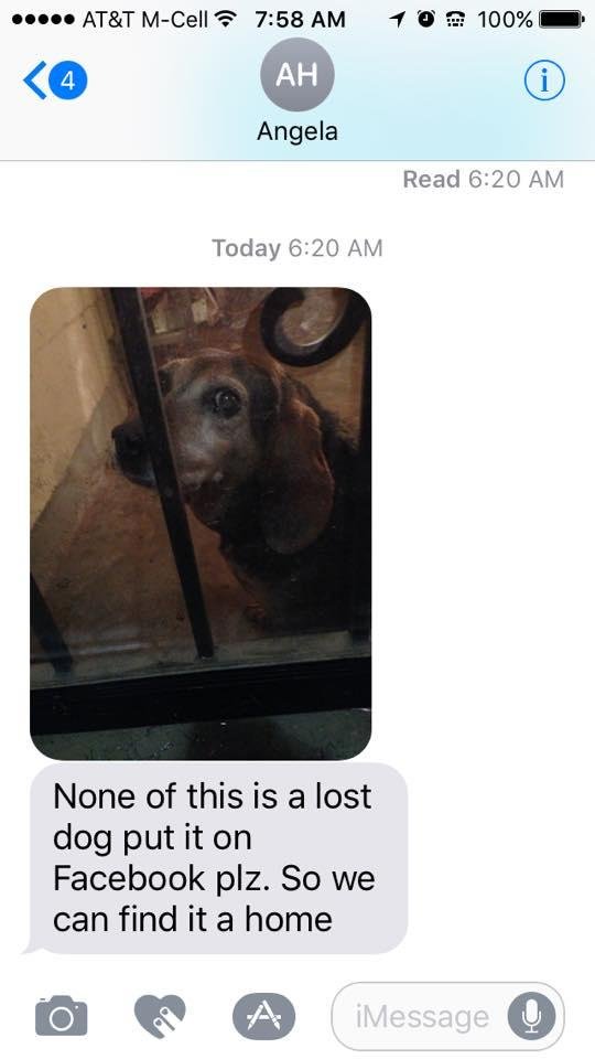 This dog has been found in the Raleigh Bartlett area . If it belongs to anyone you know PM me . Please share we want to get it home . Thank you .