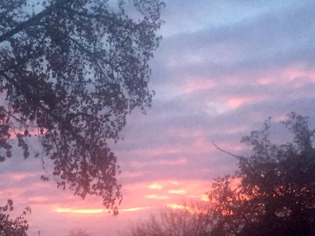 Linda Miller's album, Mobile Uploads