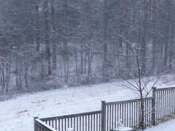 Across from the carport at the Little House - freezing cold out here!