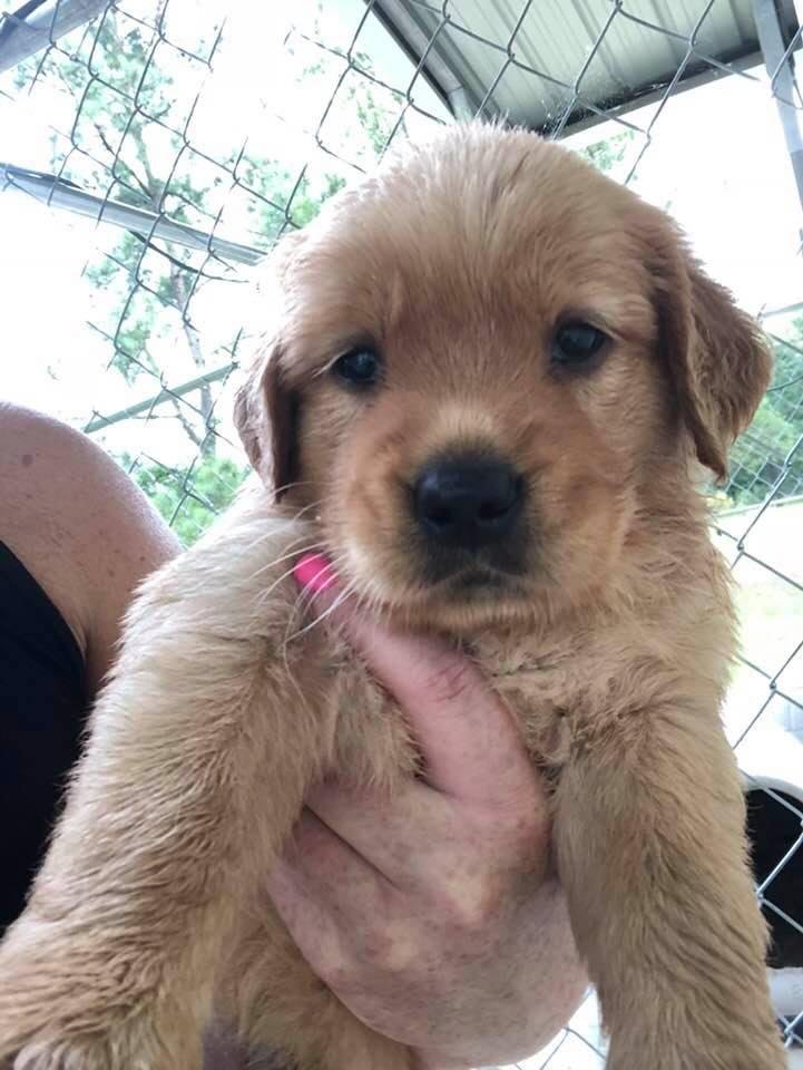 Miss Ellie arrives on July 8 !