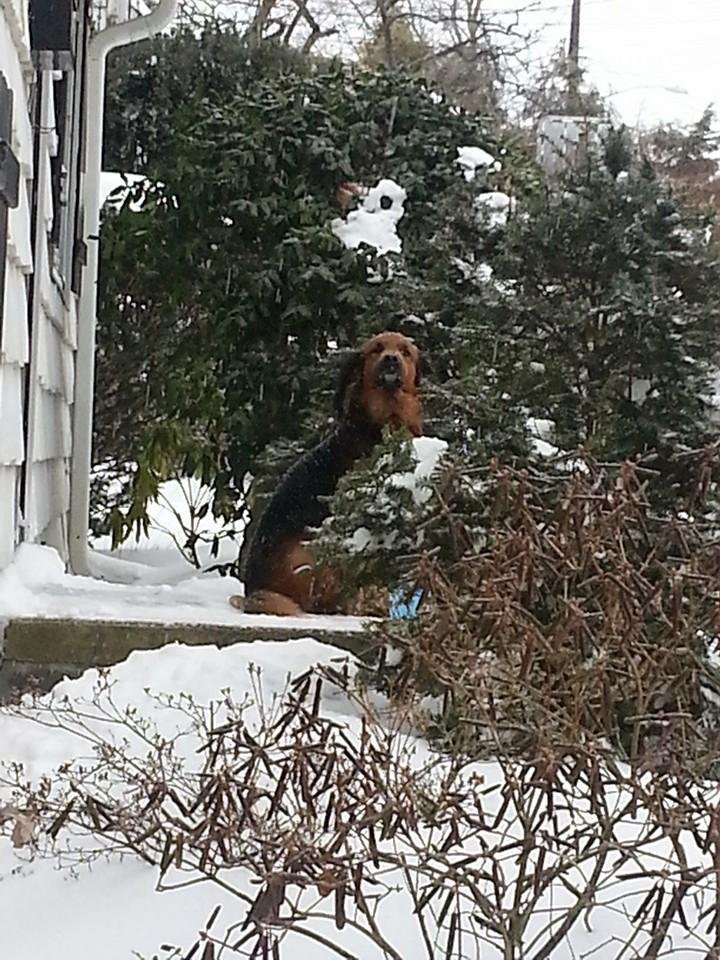 Ha! Betcha can't see me!