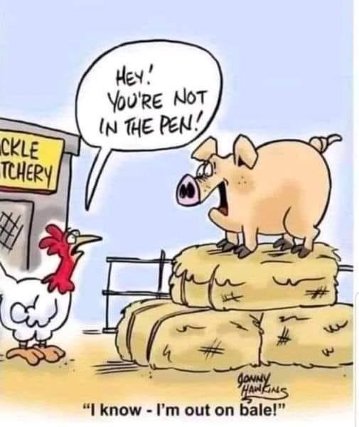 Norman Hatcher's album, Timeline photos
