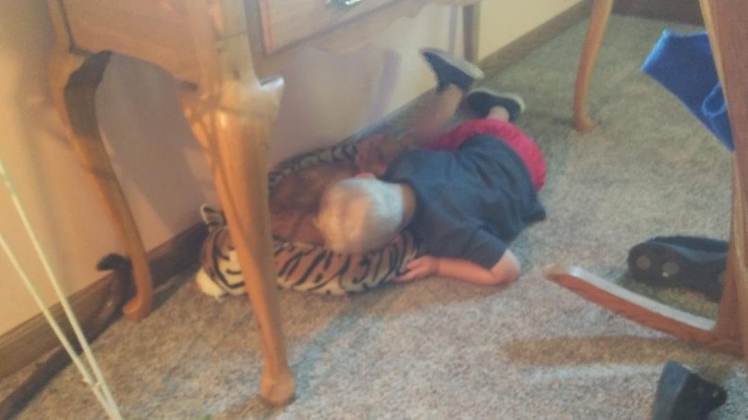 Pierson was loving. the cat