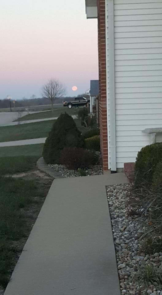 Yesterday morning the moon was hanging over the corn field at the end of our street!