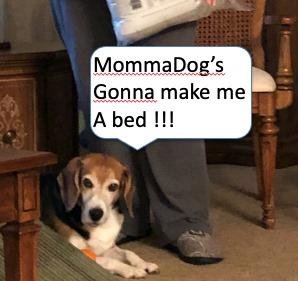 William Garber's album, Timeline Photos