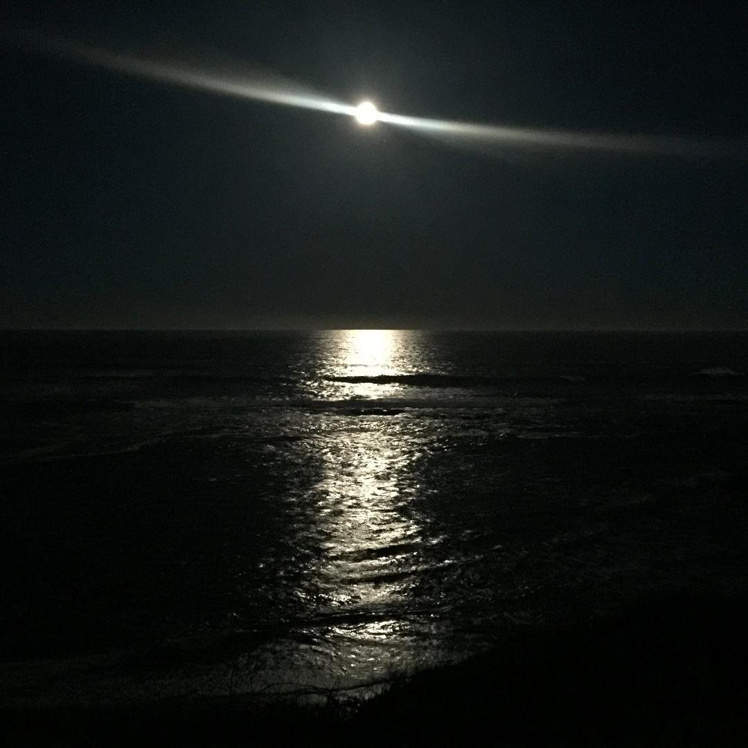 Morning moonlight