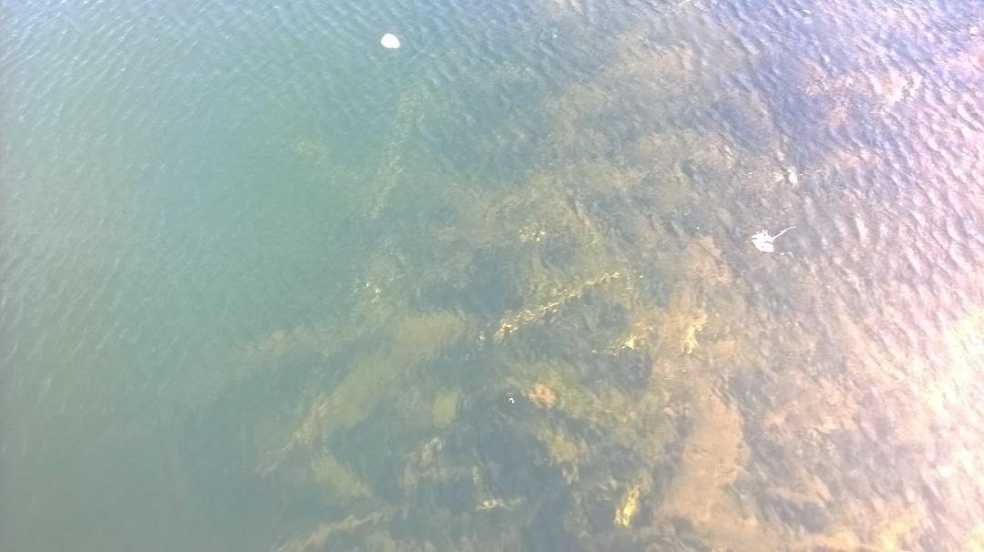 Went to coldwater lake today