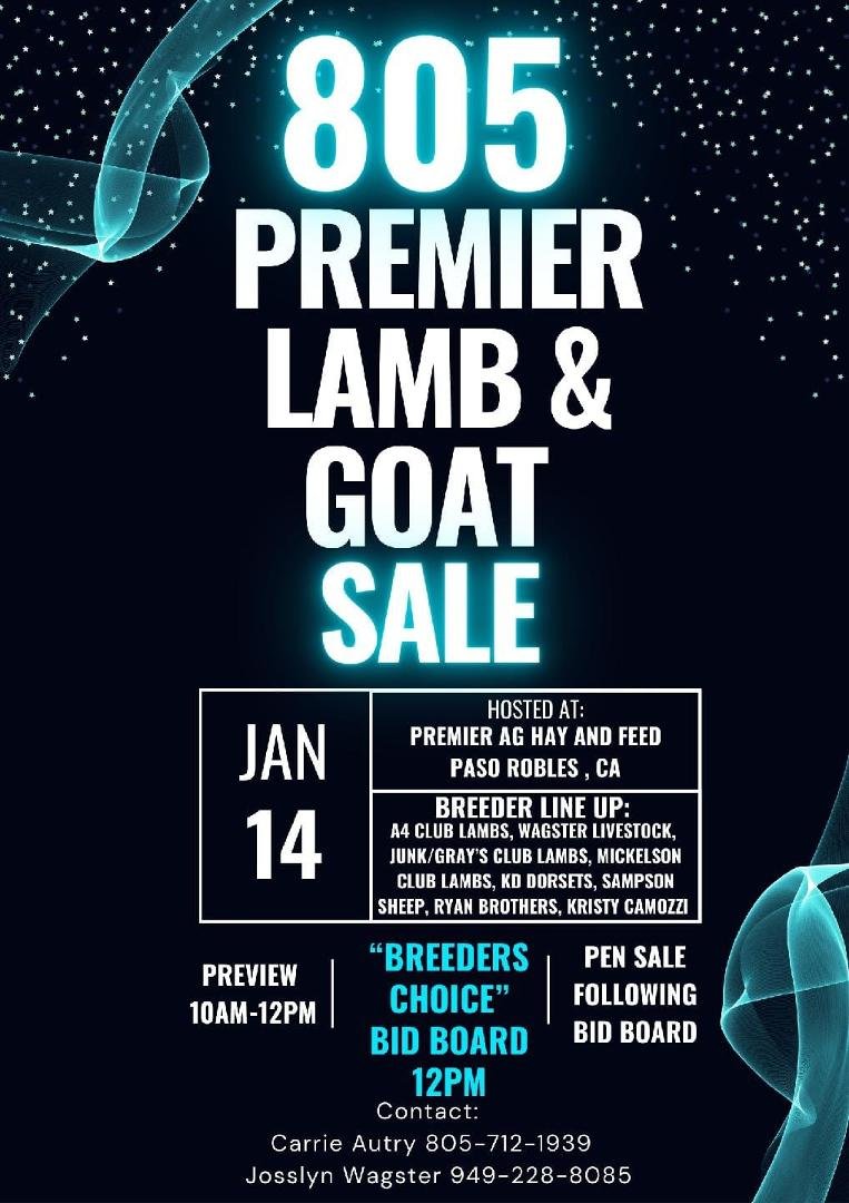 Looking forward to seeing you next Sunday at the 805 sale in Paso. I will have one in the board sale and two in the pen sale. Any questions please call and inquire. My number is 805-610-8171.