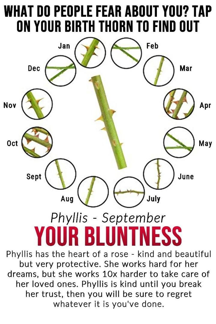 Phyllis Englund's album, Timeline Photos